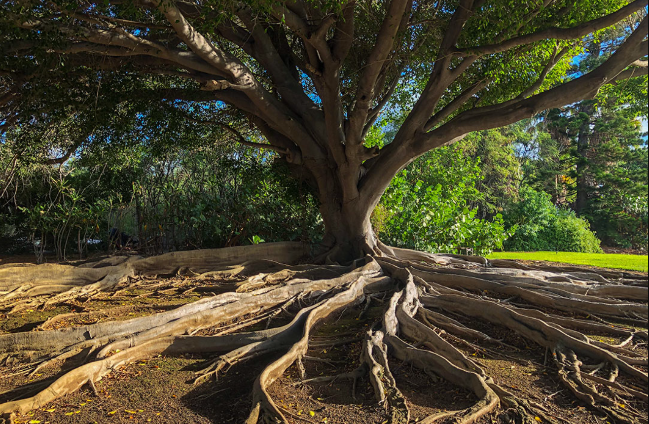 Roots Tourism In Ghana: A Journey Of Rediscovery