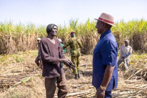 President Ruto Engages Sugarcane Farmers in Mumias, Kakamega, Announces Major Bonus Payment Development