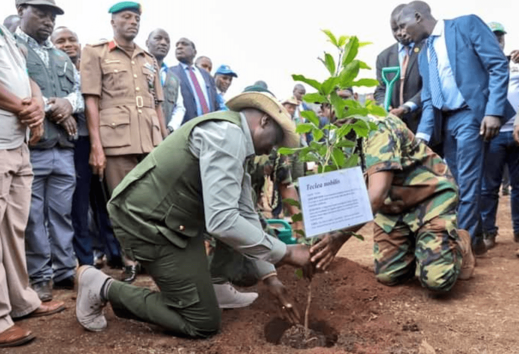 President Ruto Earns Spot On Time Magazine’s 'Top 100 Climate Leaders' List