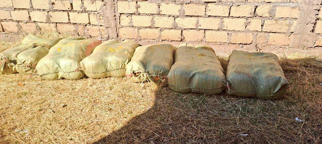 MCA Among Arrested With Bhang In Police Operations In Isiolo Town