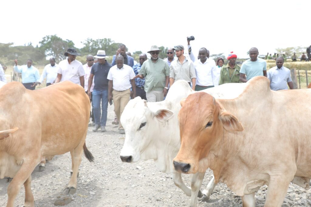 State To Double Livestock Production To Boost Meat And Leather Production