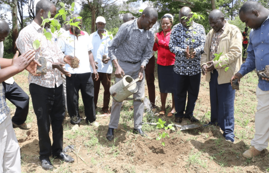 NGAAF's Green Initiative: Planting 2,000 Trees In Busia County