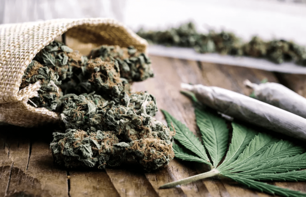 DEA Plans To Back Reclassifying Marijuana As Less Serious Drug
