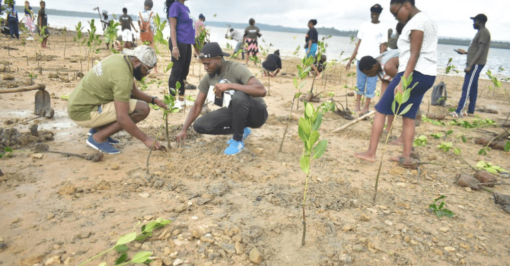 Kilifi Community Plants Over 600 Mangrove Trees To Celebrate World Environment Day