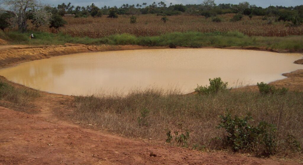 A 60-Year-Old Woman Found Dead in Siaya County Water Pan