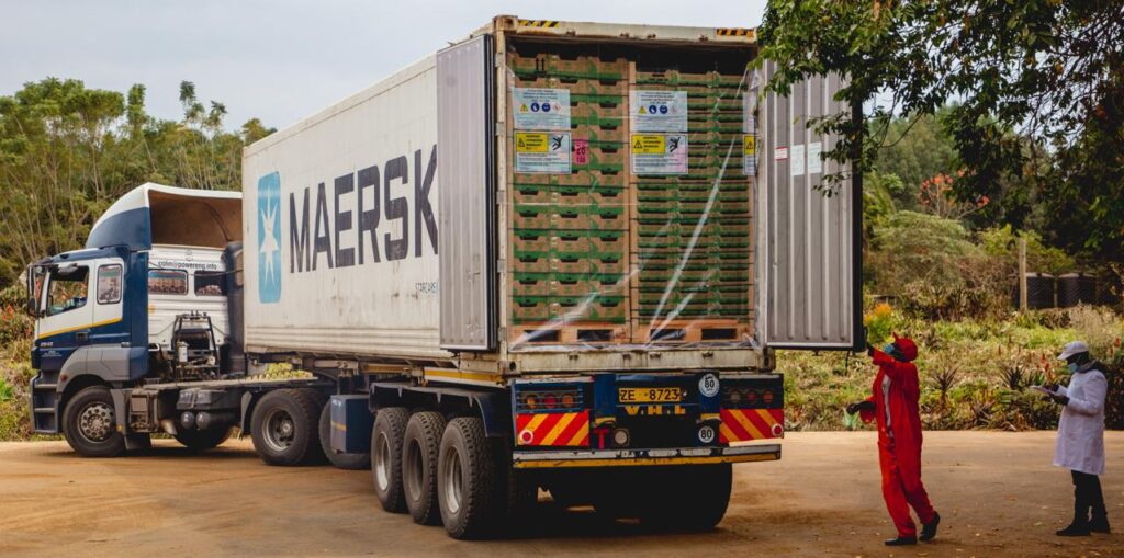 Kenyan Fresh Produce Exporters Assure European Buyers As Logistical Challenges Persist