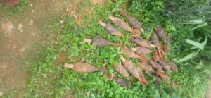 23 Unexploded Bombs Discovered In Marsabit County During Unauthorised Excavation