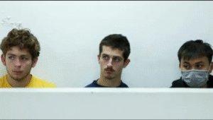 DPP Secures Landmark Conviction Of Belgian And Vietnamese Nationals In Major Illegal Wildlife Trafficking Case Involving Garden Ants