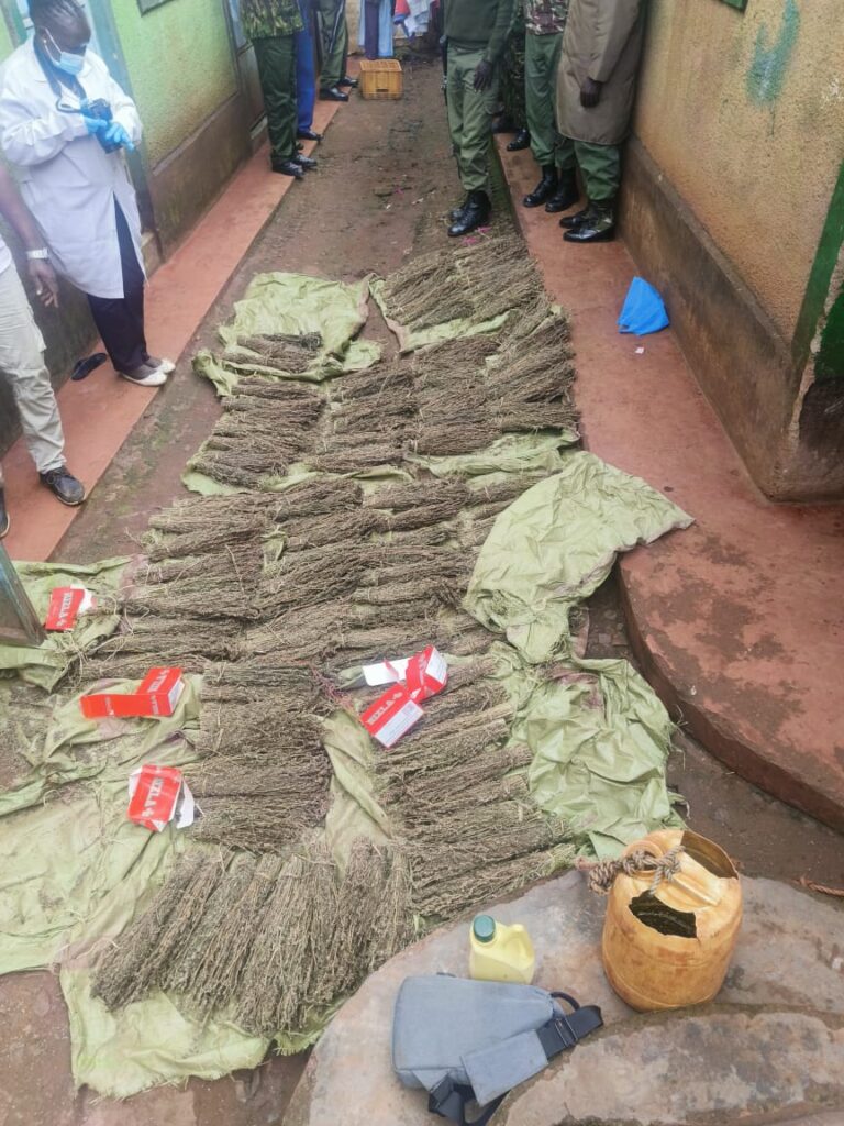 NACADA Intensifies Anti-Narcotics Crackdown with Major Seizures in Homa Bay and Kisii Counties
