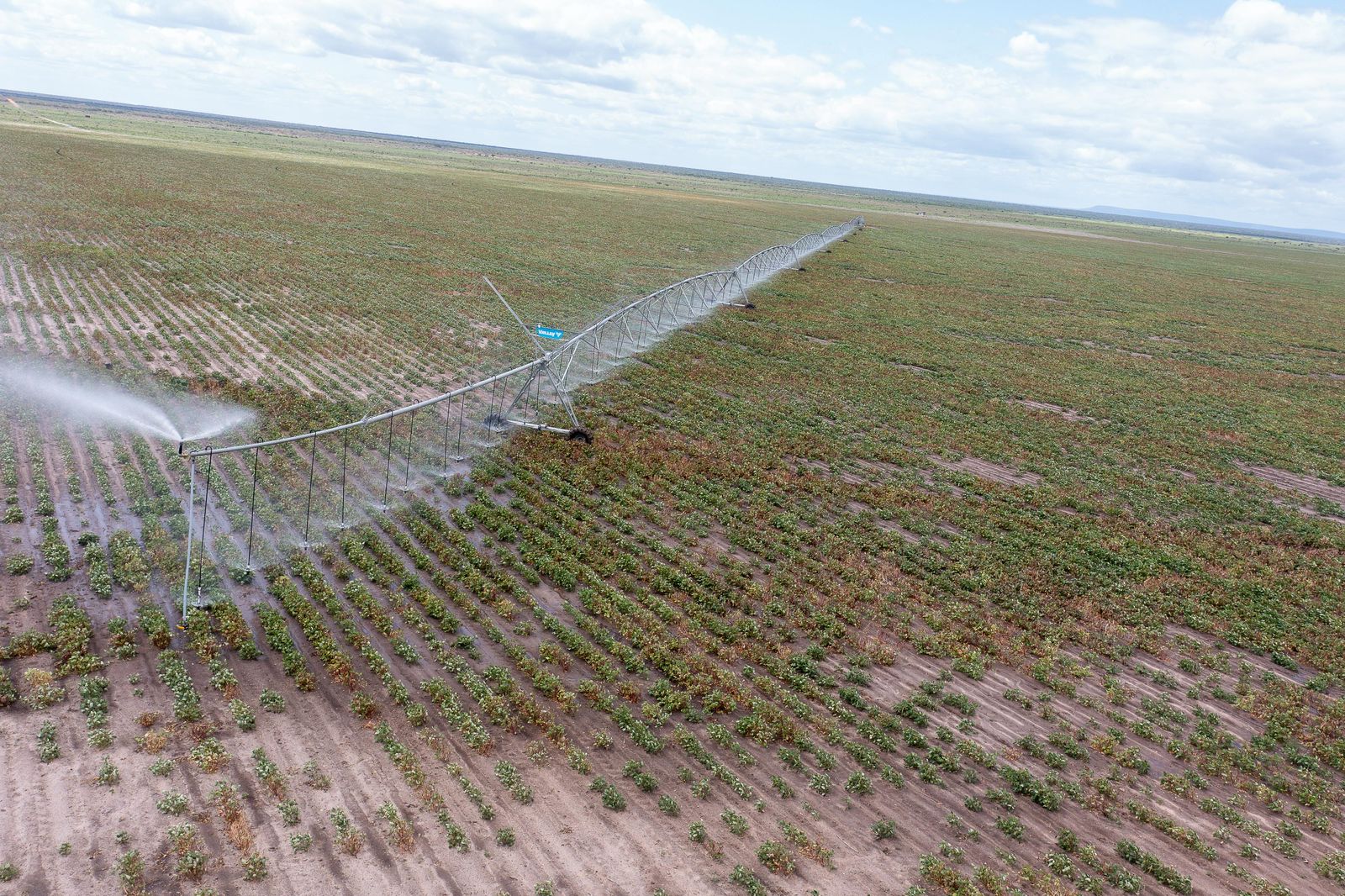 Galana Kulalu Food Security Project Takes Shape