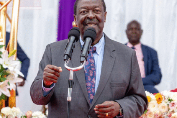 We Don’t Fear Elections, Mudavadi Tells Government Critics