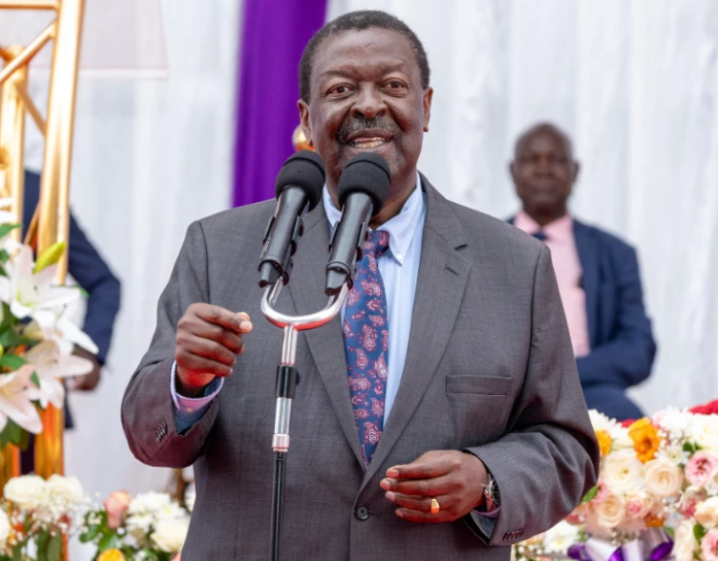 We Don’t Fear Elections, Mudavadi Tells Government Critics