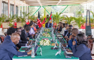 Cabinet Endorses New Bill To Address Malpractices In Healthcare Sector