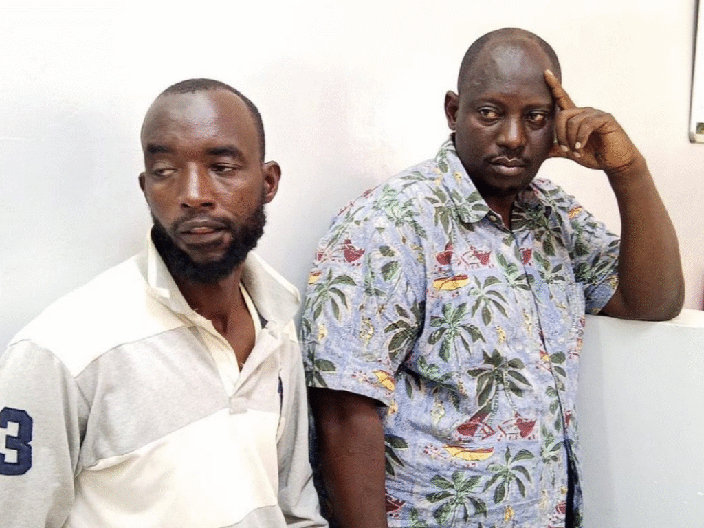 Two Burundians Charged In Mombasa Over Illegal Possession Of Sh12 Million Elephant Tusks