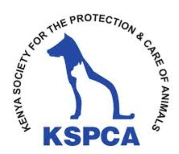 KSPCA Detains 11 Horses, Two Camels Over Claims Of Abuses At Mama Ngina Waterfront, Mombasa