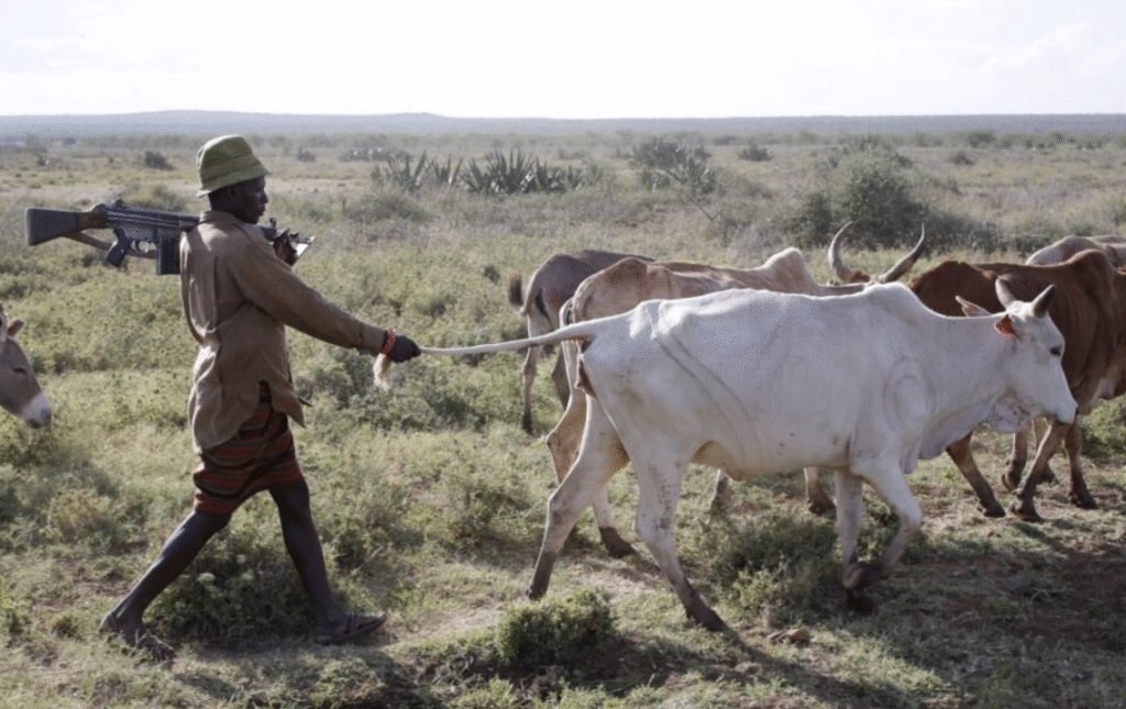 Herder Shoots And Kills Fellow Herder In Argument In Meru County