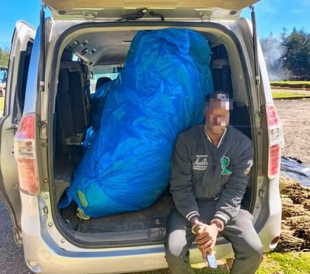 Suspect arrested as Police seize cannabis worth sh2 million in Timboroa Highway bust