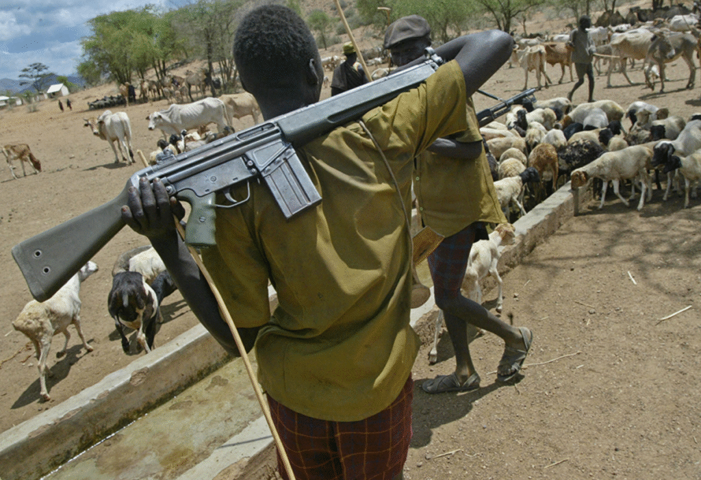 Herder Shot Dead, Three Injured In Cattle Rustling Incident In Samburu County