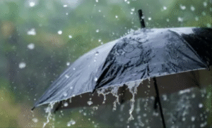 Met Warns Of Rainfall From Thursday With Start Of Rainy Season