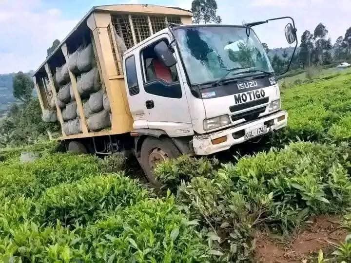 Low Tea Bonus Payments Is A Recipe For Chaos, Warns Kisii Senator Essy Okenyuri