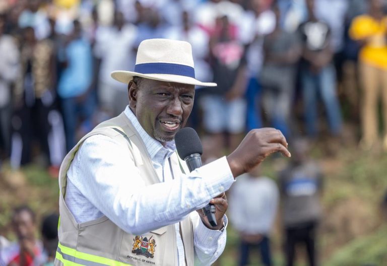 President William Ruto, Fertiliser