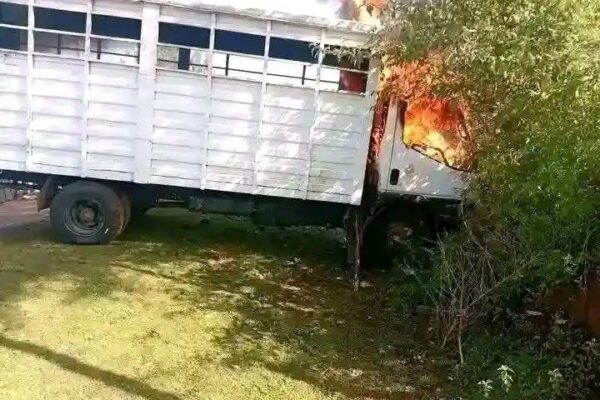 Dram As 3 Suspects Are Lynched, Nine Cows Recovered In Bureti, Kericho County