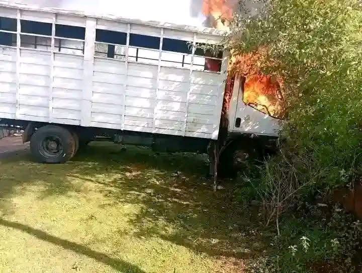 Dram As 3 Suspects Are Lynched, Nine Cows Recovered In Bureti, Kericho County