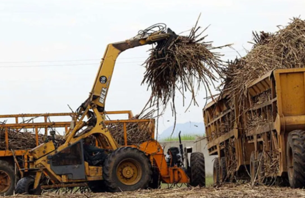 Sugar Workers’ Strike Called Off After Government–Union Talks