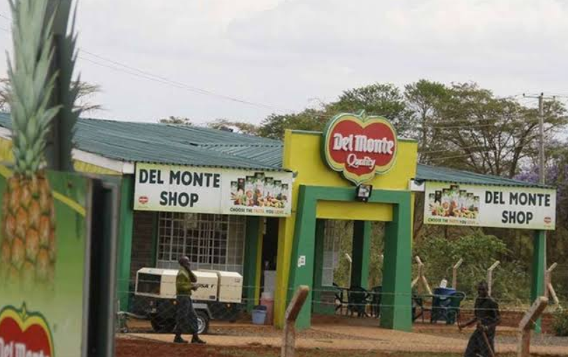 Appeals Court Allows Del Monte Appeal In Sh8.8 Million Labour Suit