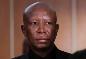 Malema Sentenced To Five Years In Prison
