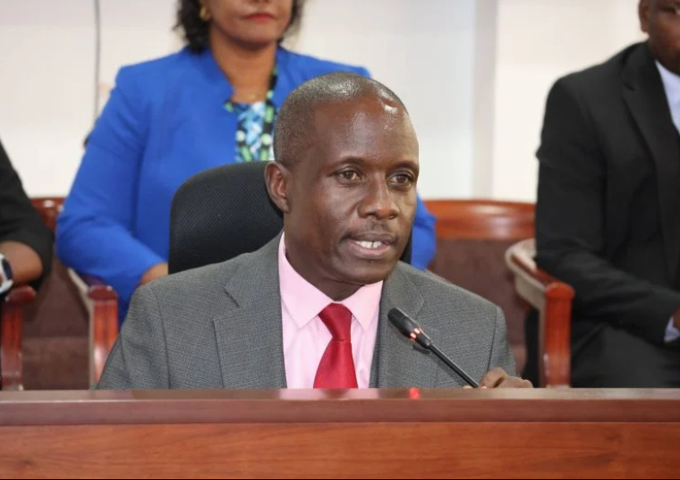 IEBC Seeks Sh502M To Expand Diaspora Voting For 2027