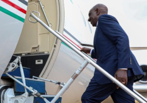 Linda Mwananchi Criticises Ruto’s Planned Tanzania Visit And Parliamentary Address