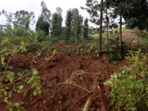 Man Killed After Landslide Buries House In Murang’a