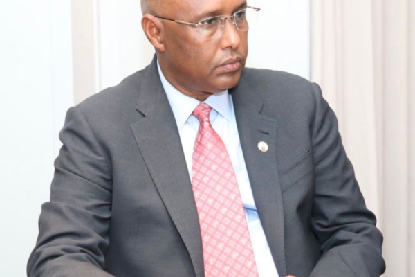 Ruto Adviser Adan Mohamed Named New KRA Boss