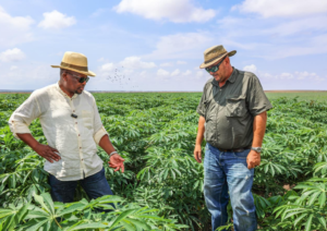 Kagwe Heads To South Africa For Talks On Trade Barriers And Agricultural Cooperation