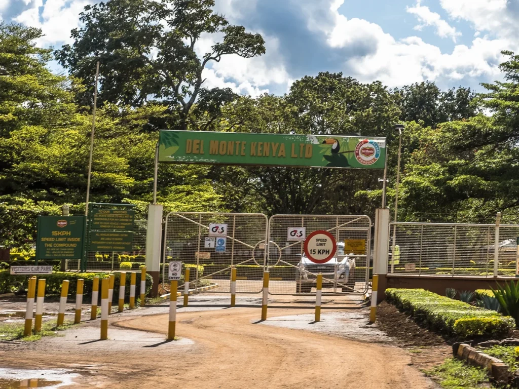 Del Monte Secures Sh271 Million Tax Victory in Foreign Exchange Loss Dispute