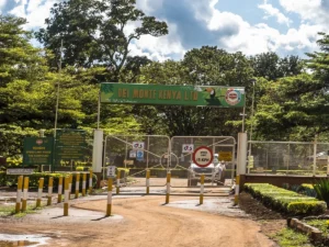 Del Monte