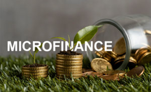 Microfinance Banks