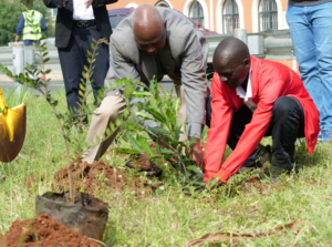 Nairobi City Marathon Pairs Air Sensors With 5,000-Tree Legacy Plan