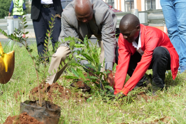 Nairobi City Marathon Pairs Air Sensors With 5,000-Tree Legacy Plan
