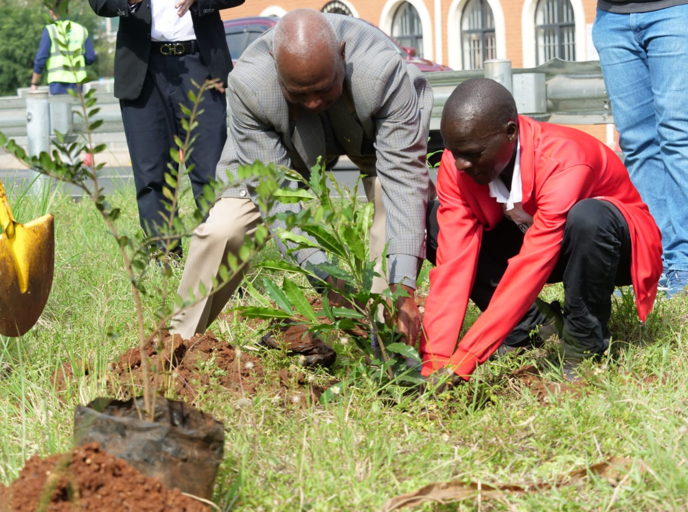 Nairobi City Marathon Pairs Air Sensors With 5,000-Tree Legacy Plan