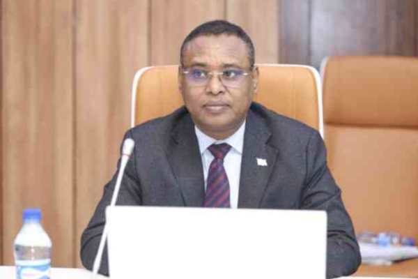 Somalia Deputy Prime Minister Deported From Kenya Over Forged Passport