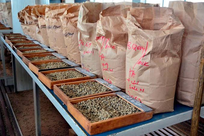 Coffee Exchange Reform Timeline Extended as Kenya Pushes Transition to 2027