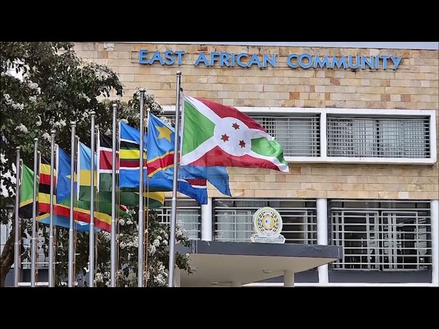 EAC Partner States Fall Short of Single Currency Benchmarks