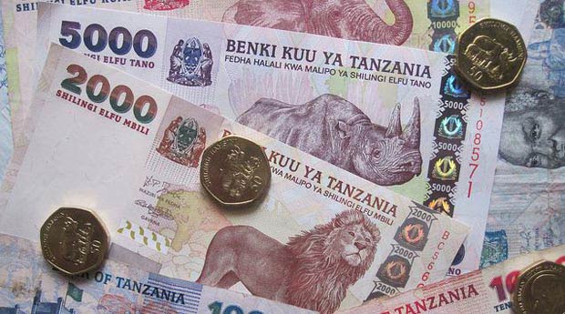 Tanzania Opens Government Bond Market to International Investors