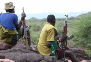 Bandits Kill Livestock, Injure Seven Animals In Kitui Shooting Attack