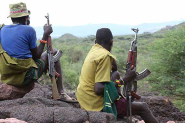 Bandits Kill Livestock, Injure Seven Animals In Kitui Shooting Attack