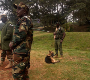 KFS Seeks Amicable Resolution Over Karura Forest–Muthaiga Golf Club Land Dispute