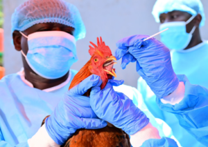 US, Kenya Launch New Tools To Strengthen Zoonotic Disease Prevention
