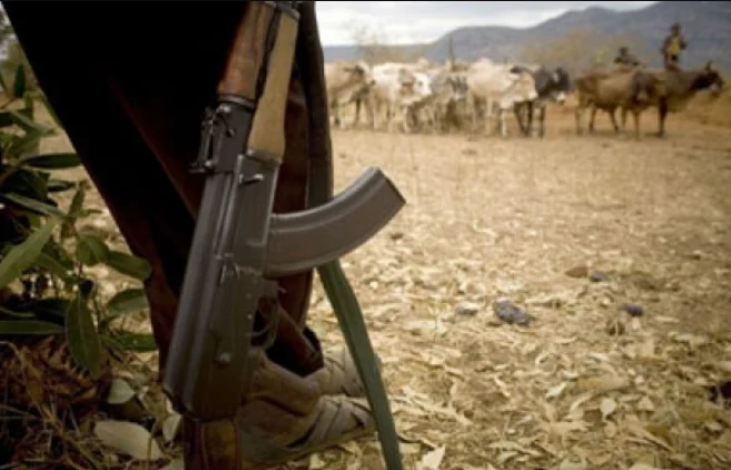Armed Bandits Raid Marsabit Manyattas, Steal More Than 600 Livestock, Kill One Person